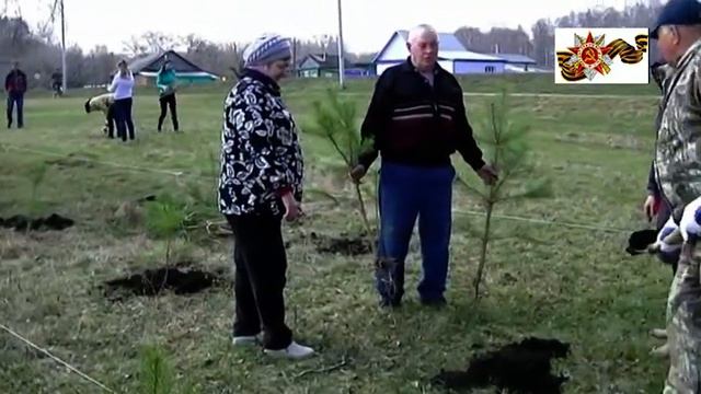 проект Аллея 70летия Победы смотреть онлайн