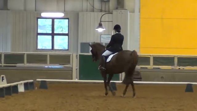 Sonya Hunt at Region 1 Dressage Championships - Saturday 4:00 PM смотреть онлайн