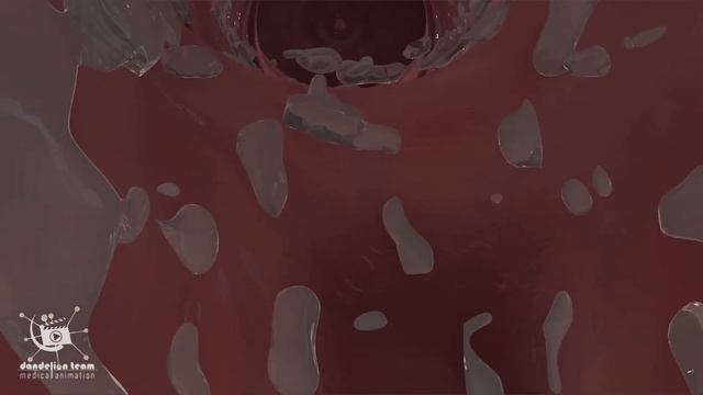 The Female Orgasm смотреть онлайн