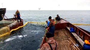 Рыбалка на Камчатке в охотском море 2019 год (вылов лосося)