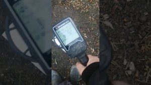 Очередной тест на мелкое золото Нокта Легенда