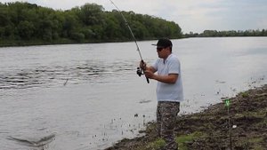 Донка или фидер? Как поймать леща на донку?