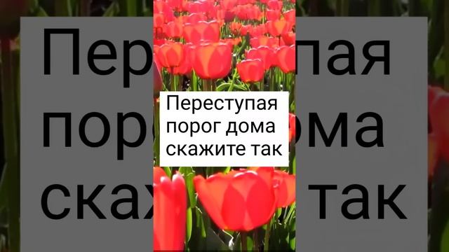 Переступая порог дома, скажите так#shorts