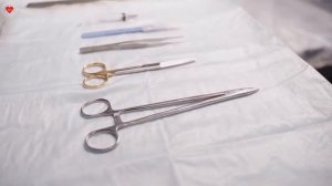 ГЕЛЬМИНТЫ (ГЛИСТЫ)