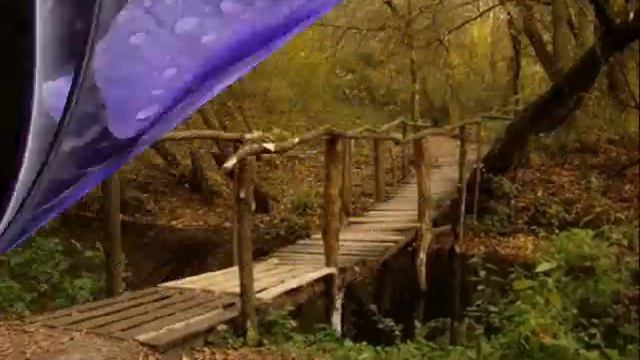 Эта женщина памяти Сергея Есенина смотреть онлайн