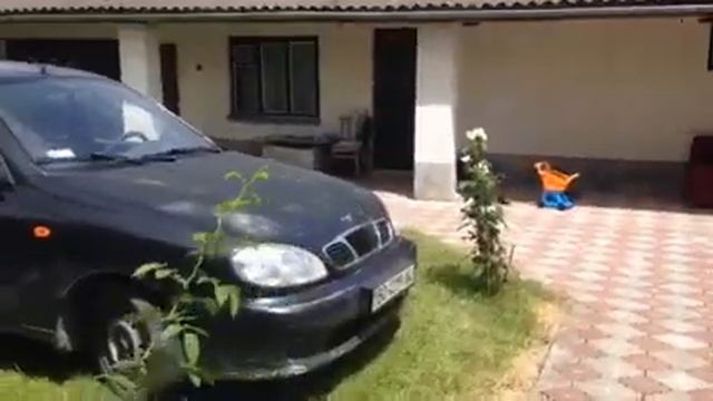 Мойка део смотреть онлайн