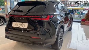 Lexus New NX 250