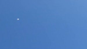 Бойные Голуби?Лёт,игра разных мастей..Но Белая- 4.5 часа???#бойныеголуби #pigeons #голуби #birds