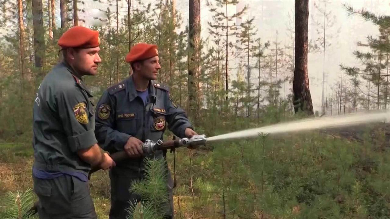 Спасатели проводят замеры воздуха во Владимирской области, где возник крупный природный пожар