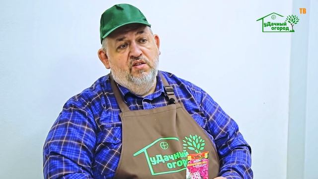 Флоксы Многолетние. Как вырастить из семян? смотреть онлайн