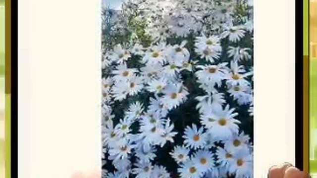 1_С ДНЕМ РОЖДЕНИЯ МАМА!!!.mpg смотреть онлайн