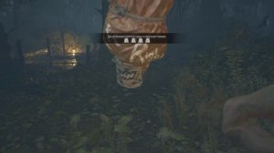 Resident evil 7 - эпизод «Гибель Зои» (Честный бокс)