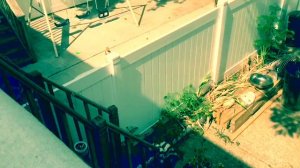 США Сколько стоит снять жильё в Нью Йорке?