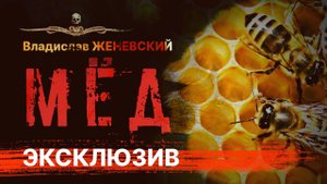 Заплутать в лесу... МЁД | АУДИОКНИГА | Рассказ