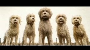 Jenny Wakeman (My Life As A Teenage Robot) Is Worth It Rule 34