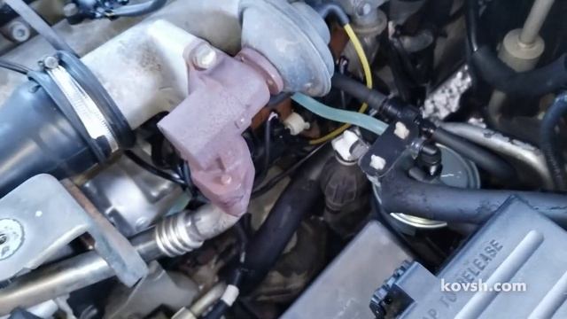 Прозрачная топливная трубка для SsangYong Rexton I 2.7d смотреть онлайн