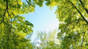 Вурнары. Чувашия шаг за шагом