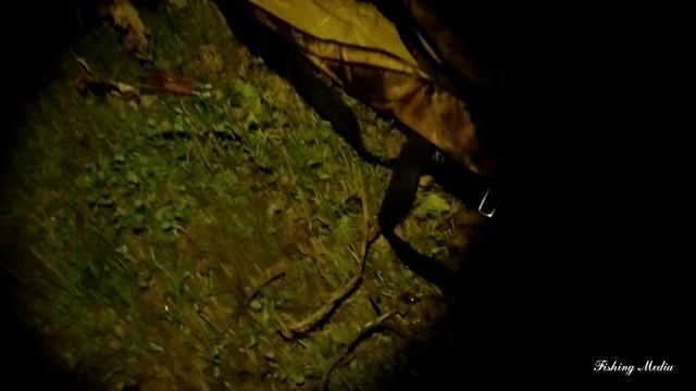 Рыбалка на налима донками и стукалкой осенью 2022. #6 24 октября смотреть онлайн