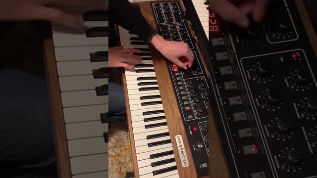 James Corbett is explaining the unison stack feature of the Prophet 10 😍