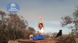 ДИНАМИЧНАЯ ЙОГА ФЛОУ _ Йога 30 минут _ Йога chilelavida