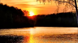 Это осень виновата-автор музыки и исполнитель Анна Гринберг,песня на стихи  Михаила Михлина