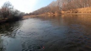 Осенний ленок на удочку. Поднимаю муть со дна и на неё идёт ленок. Рыбалка на ленка.На горной речке