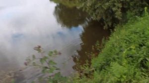 Елгань пруд, Унинский район, Кировская область