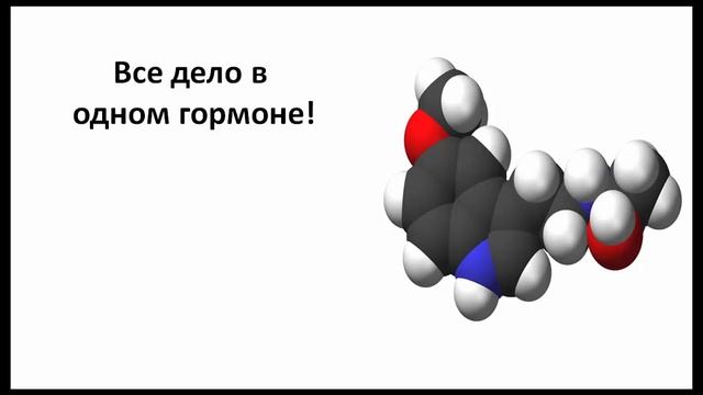 Как все успеть. Секрет №1 смотреть онлайн