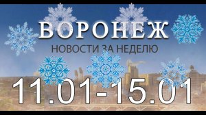 Новости Воронежа (11 января - 15 января)