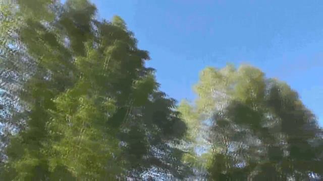 Осмотр лагеря-стана. 13.05.2016 смотреть онлайн