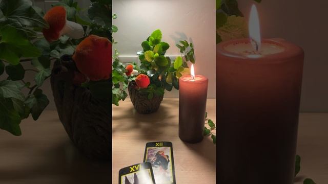 Что Вам нужно сейчас проработать ?