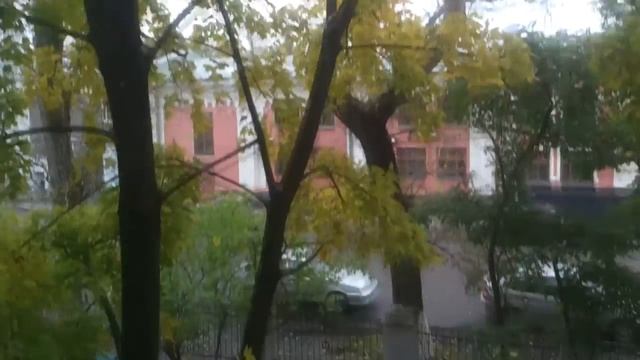 Осень. Лист прилип к стеклу. смотреть онлайн