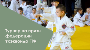 Турнир тхэквондо ГТФ Владимирской области