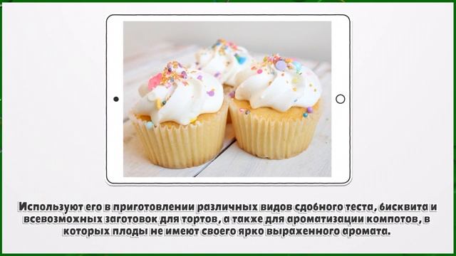ВАНИЛЬ ИЛИ ВАНИЛИН — В ЧЕМ РАЗНИЦА?