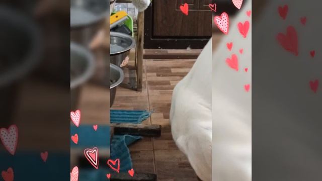 Чем отличается завтрак 2023 от завтрака 2022 года? смотреть онлайн