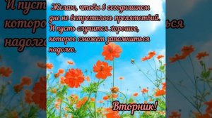 Со вторником. Удачного дня 🌼🌼🌼