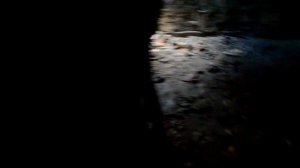 Хинганск. Хинганское озеро. ЕАО.