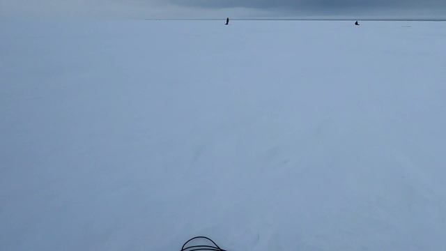 Ловля окуня на блесну!!)Ладога,Кобона, сезон 2021-2022#рыбалка #ладога#окуньнаблесну #окунь#fishing смотреть онлайн