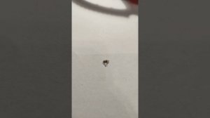 Ремонт фонаря