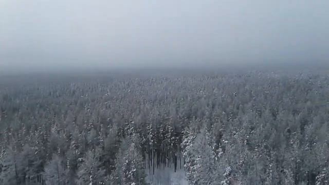 Гора Караульная. Вышка. Новоуральск