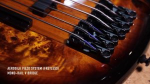 Ibanez SR "ASHULA" featuring Franck Hermanny - 7-string fretted/fretless hybrid bass
