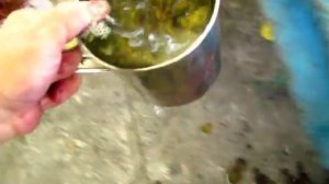 Отжимаем СУСЛО от МЕЗГИ из винограда КАБЕРНЕ + 6. Добавили воду и сахар