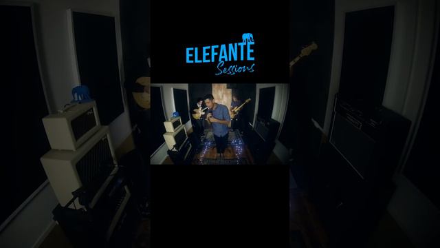 Visitante - Gabriel Peri | ELEFANTE SESSIONS