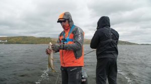 Особенности ловли на крупные приманки щуки и судака осенью.