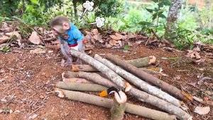 Monkey Baby Bon Bon eat giant pizza in the garden and harvest watermelons with ducklings