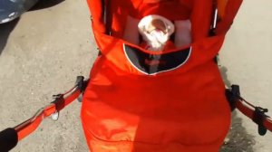 Прогулка с реборном Мелиссой в коляске