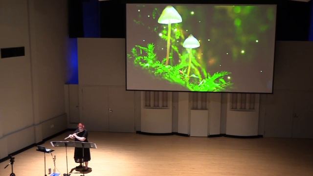 Trillium by Elizabeth Brown, performed by Kristen Stoner, flute смотреть онлайн