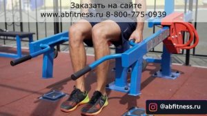 Уличный тренажер Iron King. Приседания/шраги S307