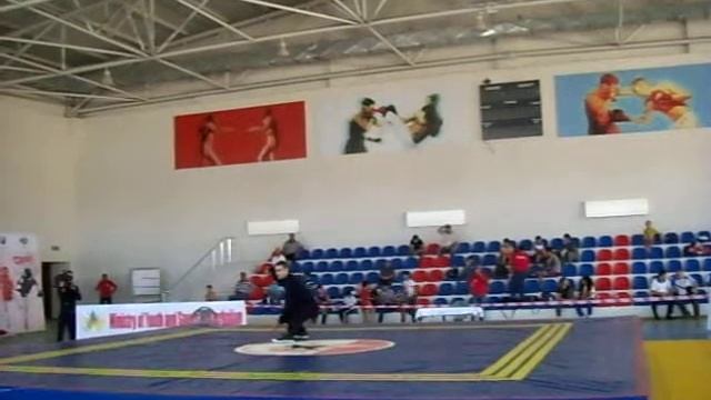 Евроазиатский Чемпионат по УШУ в Баку - 2014 год - Тайцзицюань Гуйдин смотреть онлайн