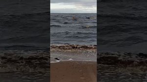 ставим сети в плавь.. белое море. рыбалка. снасти